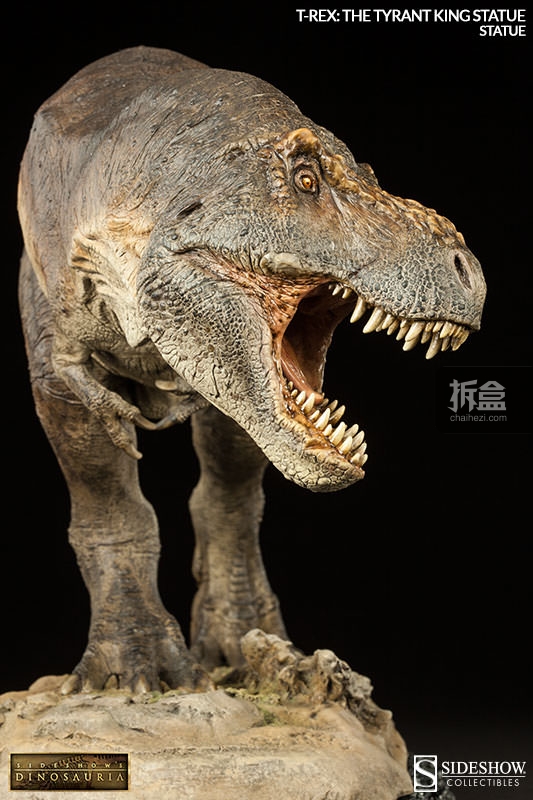 sideshow-trex-005
